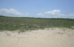 02 SN, Sierra Madre Jalisco, JALISCO