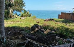 Nayarit, Nayarit