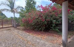 Nayarit, Nayarit