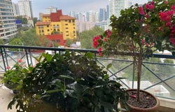 ., Cuajimalpa de Morelos, Mexico City 05370