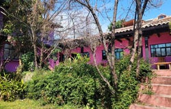 Bernal Diaz del Castillo 22, El Cerrillo, San Cristóbal de las Casas, Chiapas, San Cristobal de las Casas, Chiapas 29220