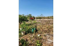 21, 3, Telchac, Yucatan 97404
