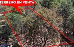 cordillera de los balcanes s/n, Bosque Monarca, Morelia, Michoacán de Ocampo, Morelia, Michoacan 58350