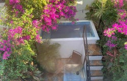 Calle Jabali, Puerto Morelos, Quintana Roo 77580