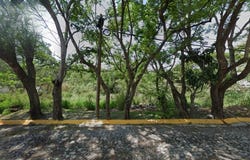 Av. Bosques de San Isidro Sur, Zapopan, Jalisco 45133