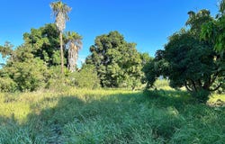 Rancho Tequila, El Pescadero, Baja California Sur 23361