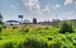Nueva san Pedro Mz. 18, San Francisco Totoltepec, Toluca, México, Toluca, Mexico 50200