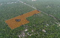 CTRA. FED. 307, Tulum, Quintana Roo 77780