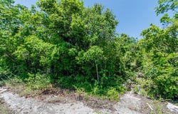 Quintana Roo, Benito Juárez, Cancún, Cancún Centro, Cancún Centro, Quintana Roo