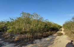 San ignacio 0, San Ignacio, Progreso, Yucatán,, Progreso, Yucatan