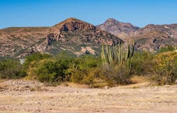 91 BLVD. BELLA ESPERANZA, San Carlos, Sonora