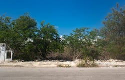 calle 35B, Gran San Pedro Cholul, Yucatan 97305