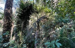 Jalisco, Jalisco