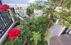 Callejón de los Claveles 126, Ciudad Bugambilia, Zapopan, Jalisco, Zapopan, Jalisco 45237