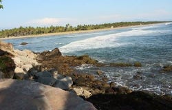 Nayarit, Nayarit