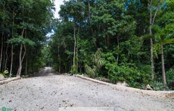 Camino Chochen C22, Tulum, Tulum, Quintana Roo, 77780, Tulum, Quintana Roo 77780