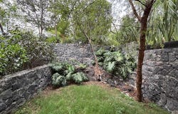 Suchil 159, La Candelaria, Coyoacán, Ciudad de México, Ciudad de Mexico, Ciudad de Mexico 04380
