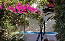 Calle Jabali, Puerto Morelos, Quintana Roo 77580