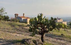 Marroquin de Abajo, San Miguel de Allende, Guanajuato 37888