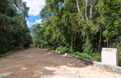 Camino Chochen C22, Tulum, Tulum, Quintana Roo, 77780, Tulum, Quintana Roo 77780
