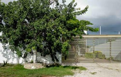 Dzityá, Dzityá, Yucatan