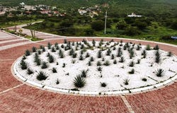 Bernal, Querétaro 76680