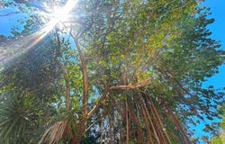 Quintana Roo, Quintana Roo
