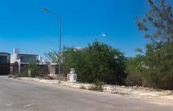 calle 35B, Gran San Pedro Cholul, Yucatan 97305