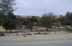 Ave. Garcia, Tijuana, Baja California 22170