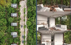 Jardines de Ciudad Mayakoba, Quintana Roo, Quintana Roo 77724
