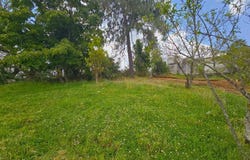 reforma 19, Teziutlán Centro, Teziutlán, Puebla, Teziutlan, Puebla 73800