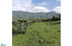 Jasmin 0, San Nicolás, Malinalco, México, Malinalco, Mexico 52443