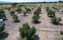 Carretera Amealco-Acámbaro 0, San Cayetano, Acámbaro, Guanajuato, Acambaro, Guanajuato 38754