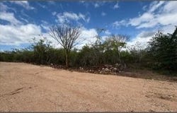 Yucatán, Conkal, Conkal, Yucatan