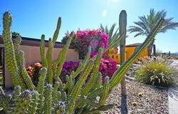 Baja California, Baja California Norte