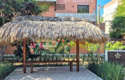Costera S/N, Aeropuerto De La Ciudad De Puerto Escondido, San Pedro Mixtepec Juquila, Oaxaca, 71989, Oaxaca 71989