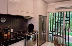 Flamingo, 34, Puerto Morelos, Quintana Roo 77580