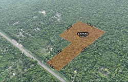 CTRA. FED. 307, Tulum, Quintana Roo 77780