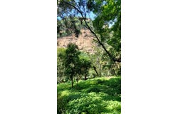Calle Insurgentes 7, Barrio San Guillermo, Malinalco, México, Malinalco, Mexico 52440