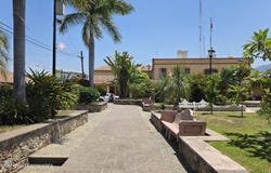 47 Jesus Cervantes, Sierra Madre Jalisco, JALISCO
