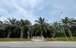 Kanchong Darat, Selangor