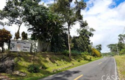 Bugaba District, Bugaba District, Chiriquí Province