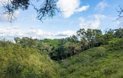CABECERA DE COCHEA, POTRERILLOS, Dolega, Dolega