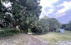El Higo, El Higo, Panamá Province