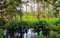 Tierras Altas, Chiriquí Province