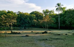 El Espino, El Espino, Panamá Province