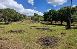 El Espino, El Espino, Panamá Province