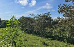 Bugaba District, Bugaba District, Chiriquí Province
