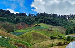 Bugaba, Chiriquí Province