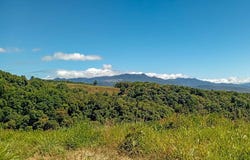 CABECERA DE COCHEA, POTRERILLOS, Dolega, Dolega